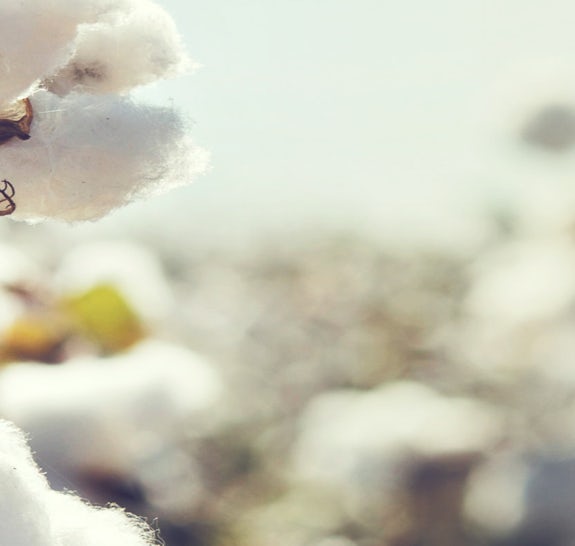 Bio cotton