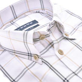 Voorbeeld button down 4